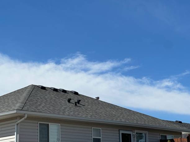 Best Wood Shake Roofing  in Eden, TX